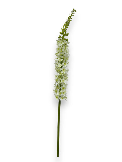 FOXTAIL LILY STEM