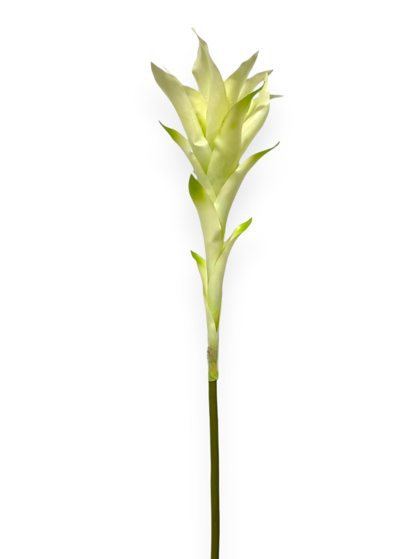 Bromelia Scarlet Star Bloom 34"