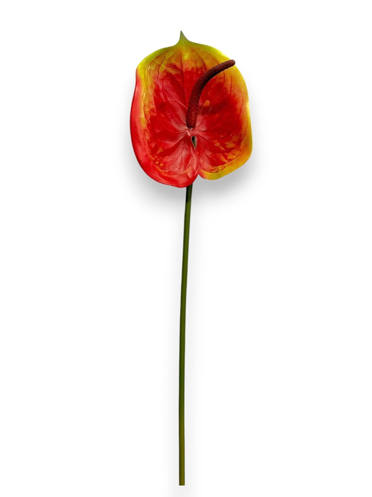 anthurium 023 2015-03 raw ANTHURIUM 23" – Chan's Silk Flowers, inc