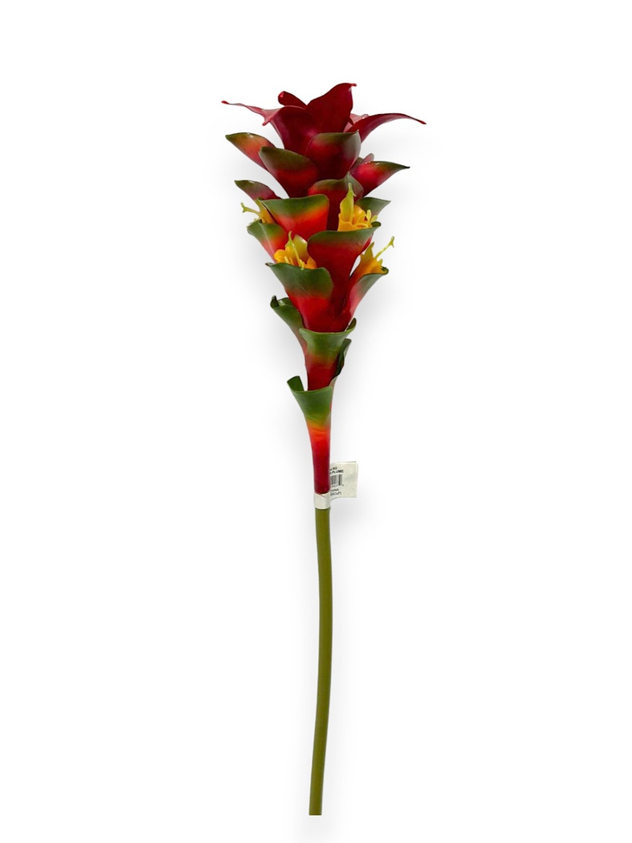 GINGER PLUME 31"