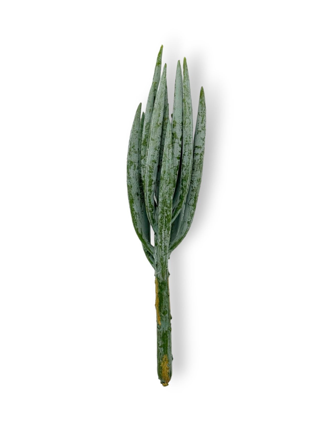 ALOE PICK 8"