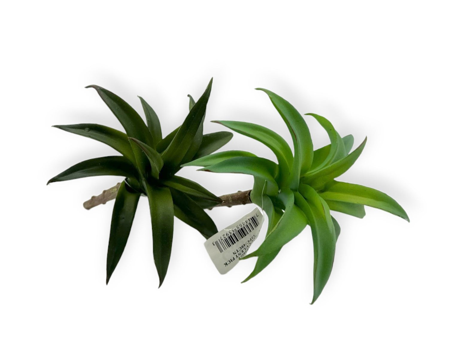 SUCCULENT PICK 8.5"