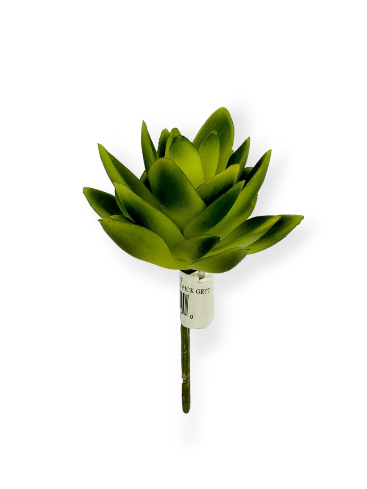Mini Agave Pick 5"