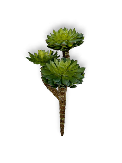 SUCCULENT PICK X3 7"