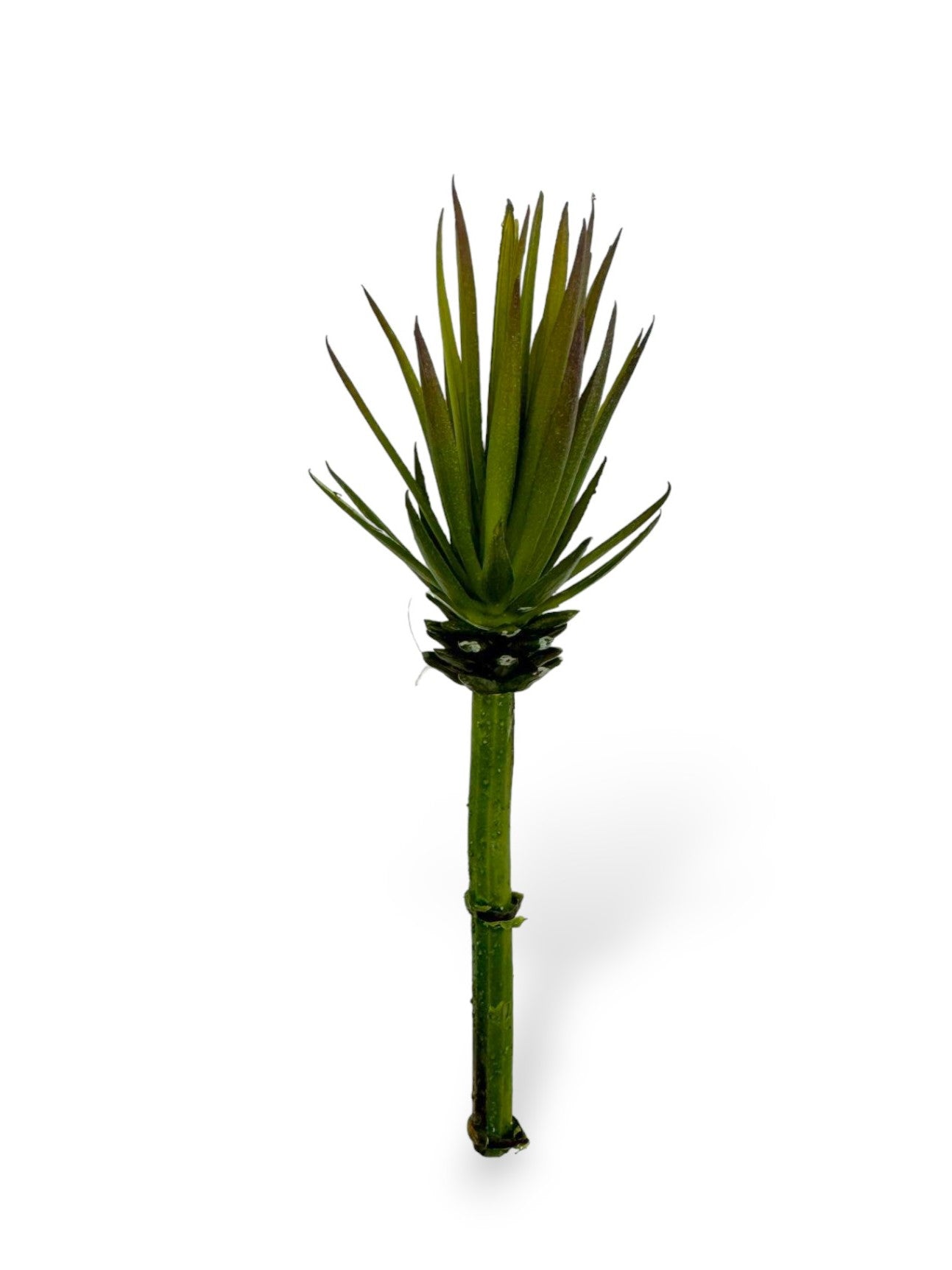 SUCCULENT PICK 7"
