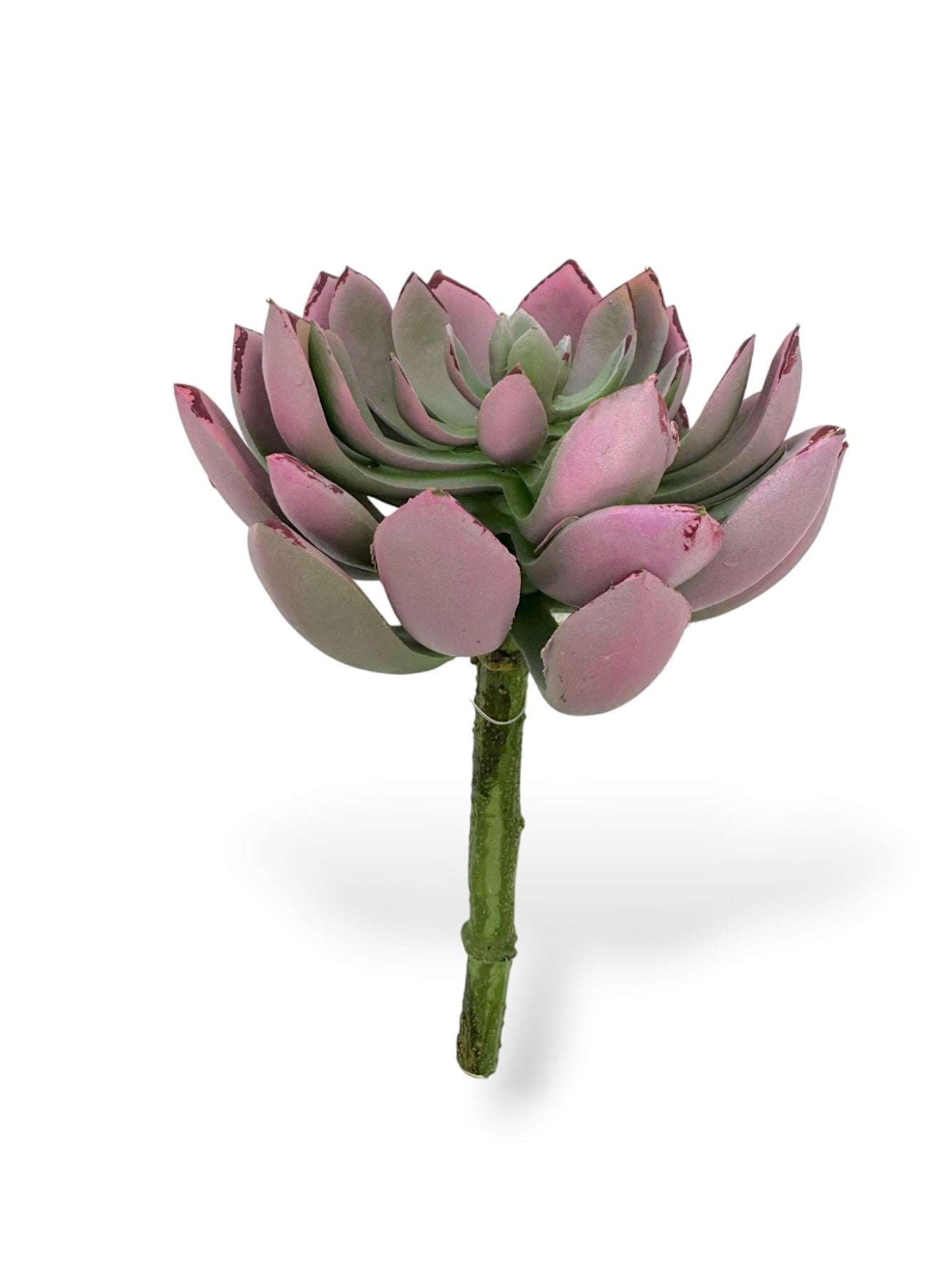 SUCCULENT PICK 7"