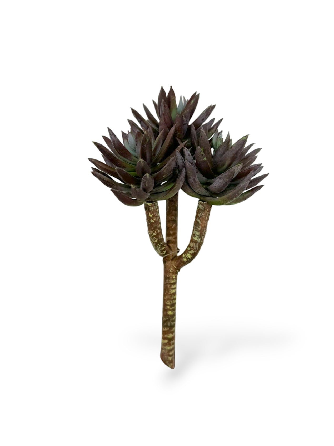 SUCCULENT PICK X3 8"
