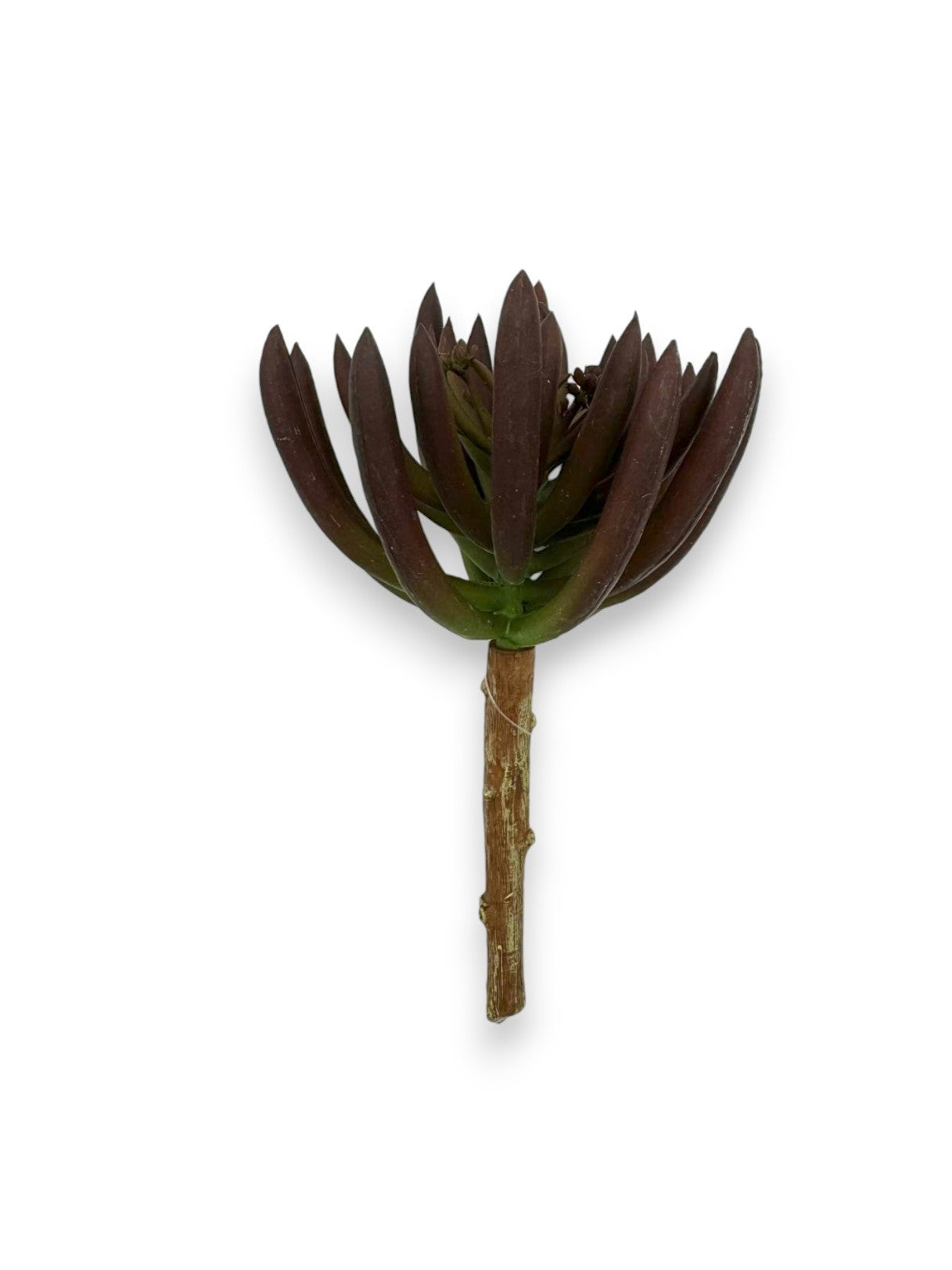 SUCCULENT PICK 7.5"