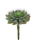 SUCCULENT PICK 8"