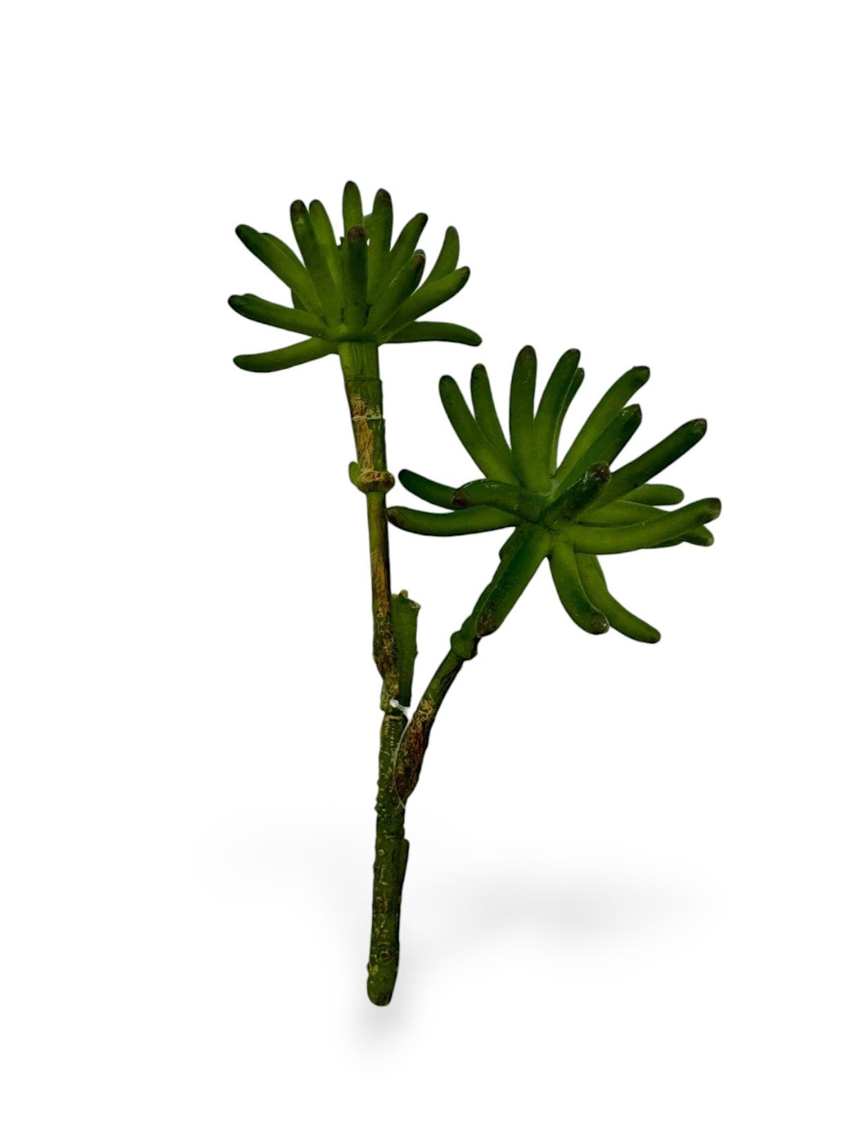 SUCCULENT PICK X2 8"