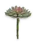 Succulent Pick 9"