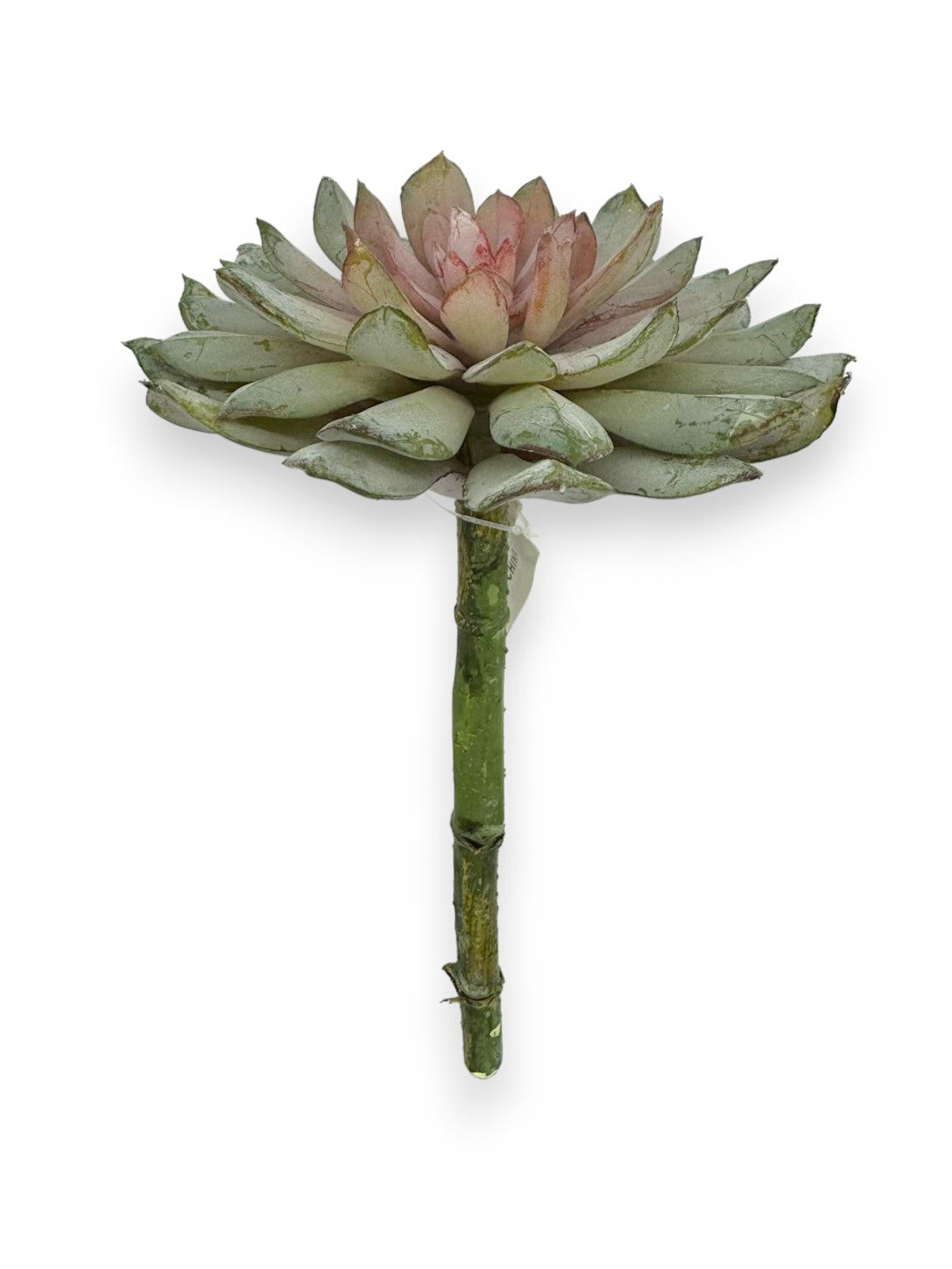Succulent Pick 9"