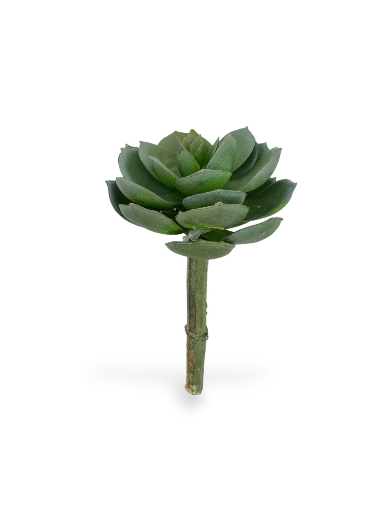 SUCCULENT PICK 5"