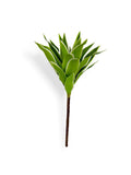 TRADESCANTIA BUSH 10"