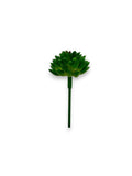 MINI SUCCULENT 071