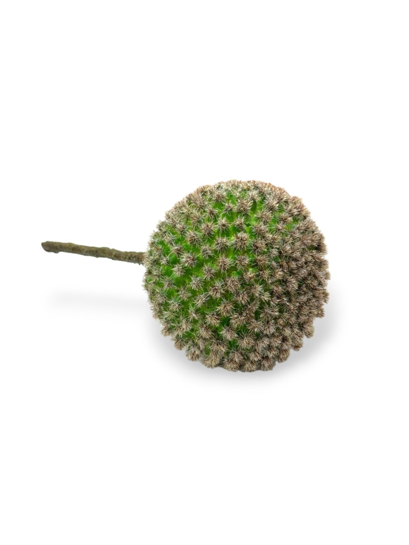 CACTUS PICK 8"