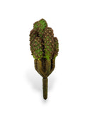 CACTUS PICK 7.25"