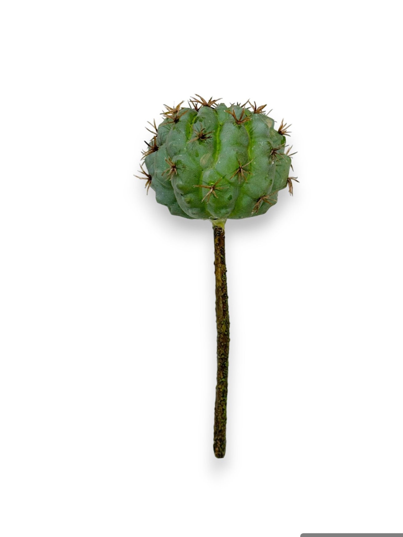 CACTUS PICK 7"