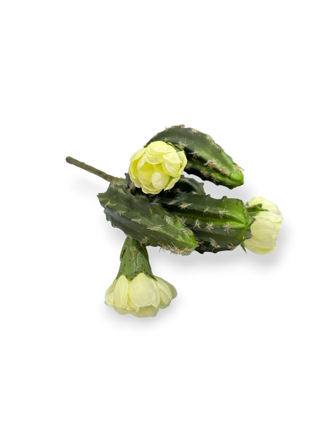 CACTUS PICK WITH FLOWERS