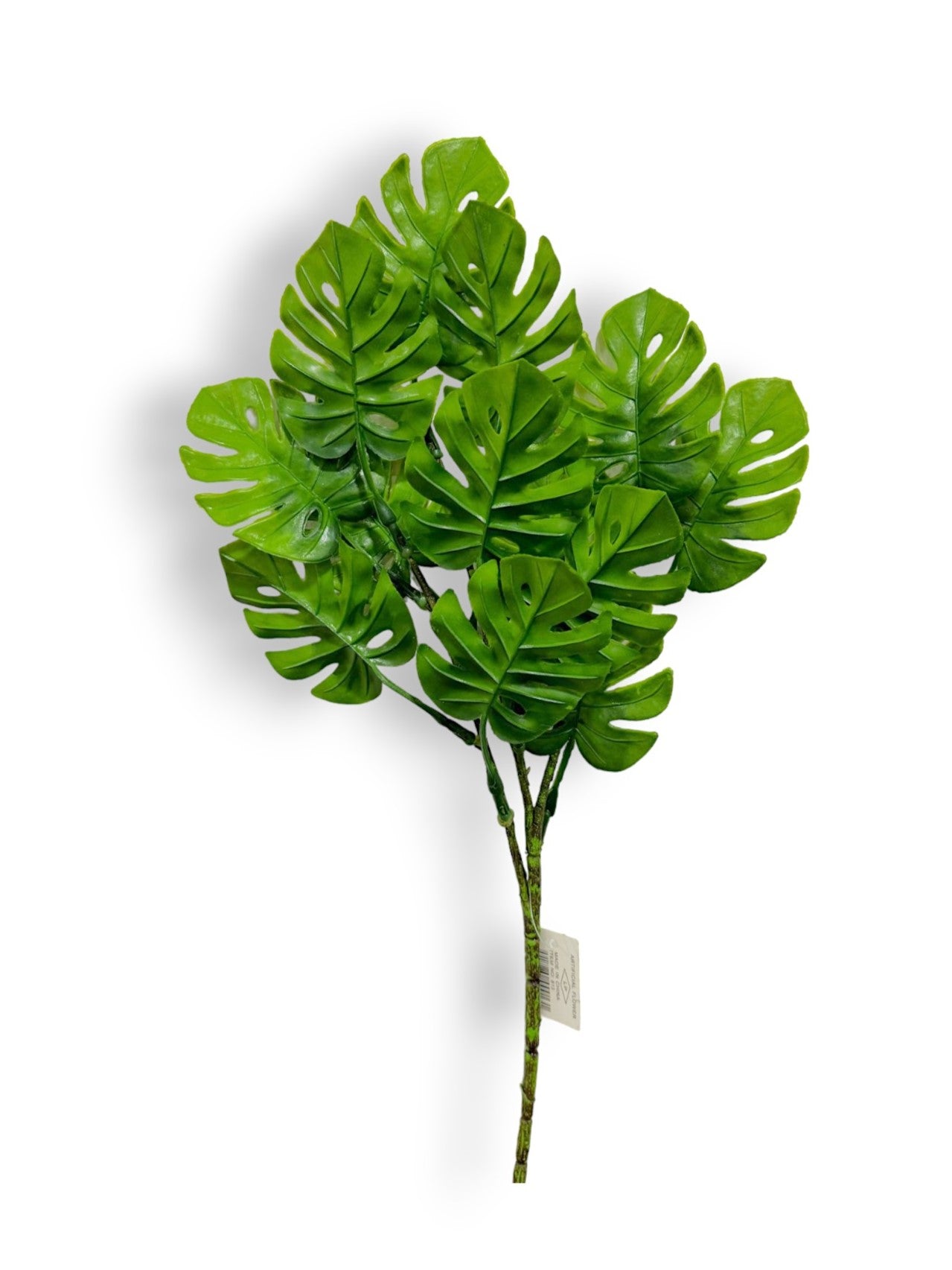Monstera leaf spray