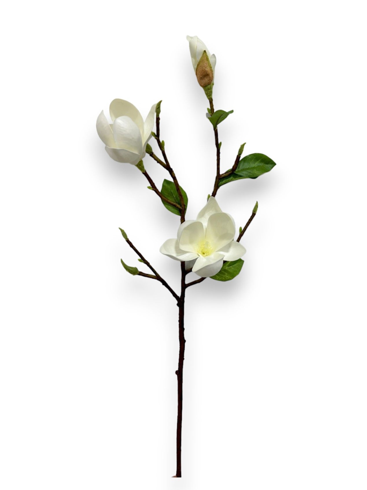 MAGNOLIA TREE PICK 24"