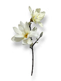 MAGNOLIA SPRAY 25"