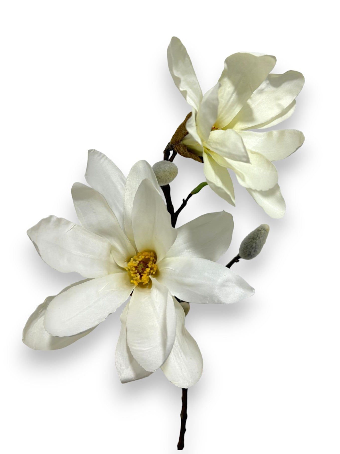 MAGNOLIA SPRAY 25"