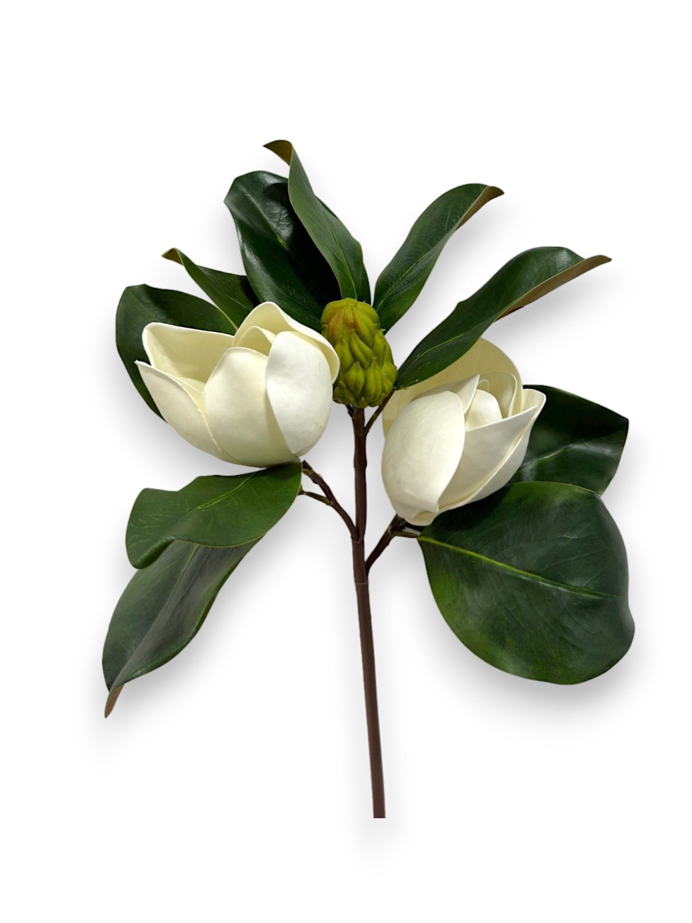 MAGNOLIA PICK 17"