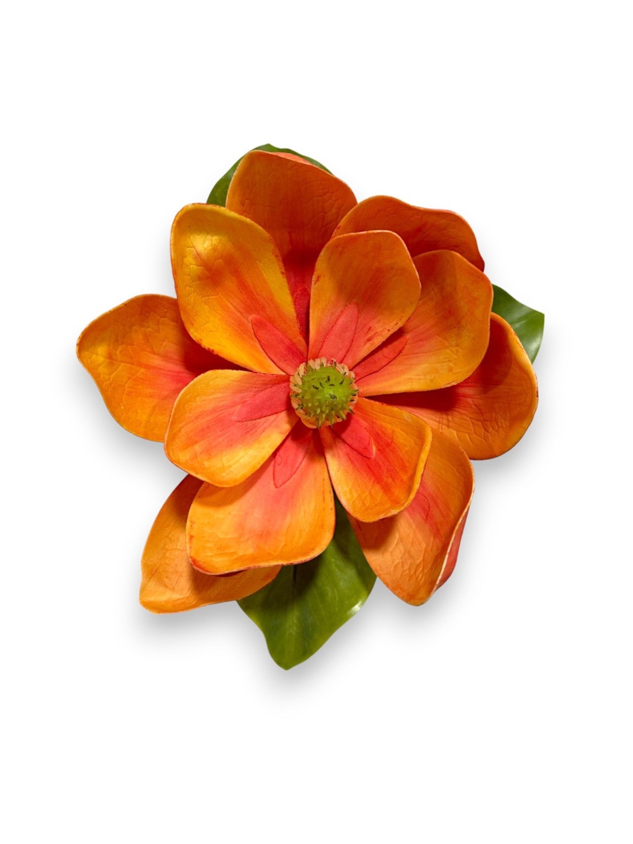 MAGNOLIA OPEN STEM 26"