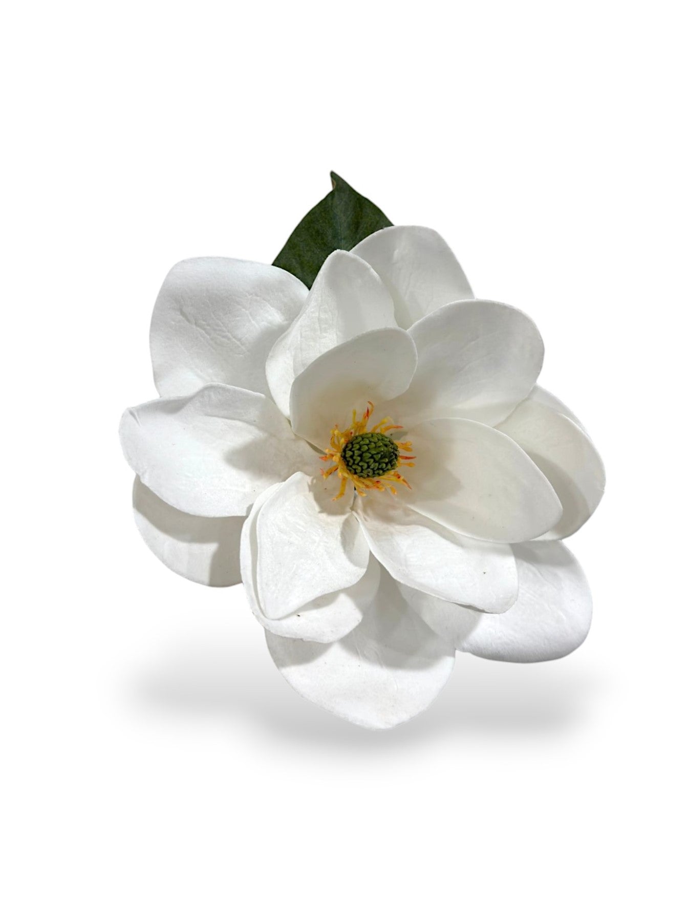 MAGNOLIA PICK 12"