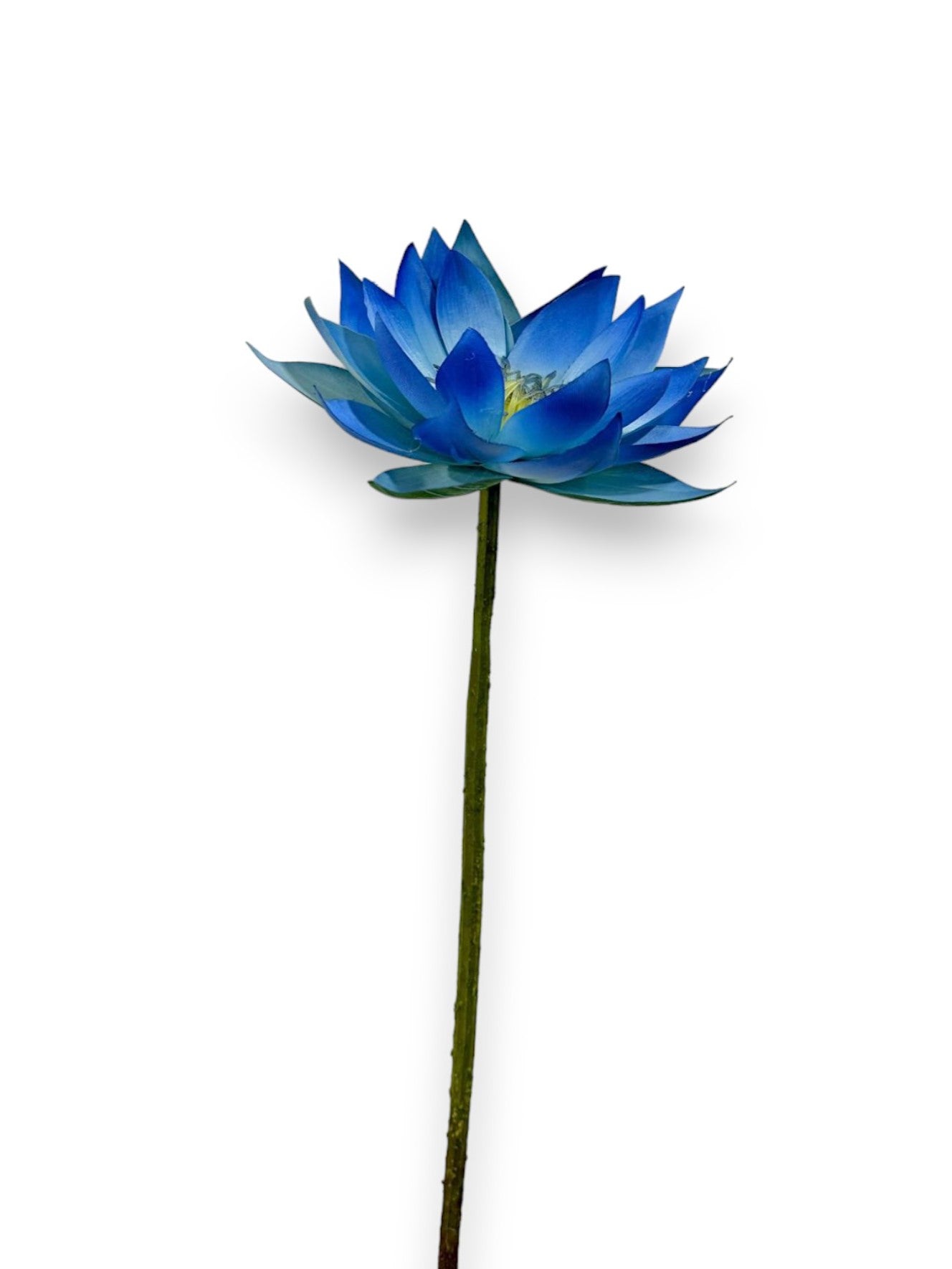 WATER LILY 20"