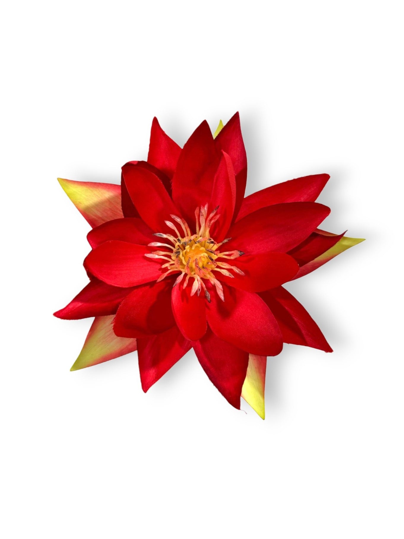 WATER LILY 20"