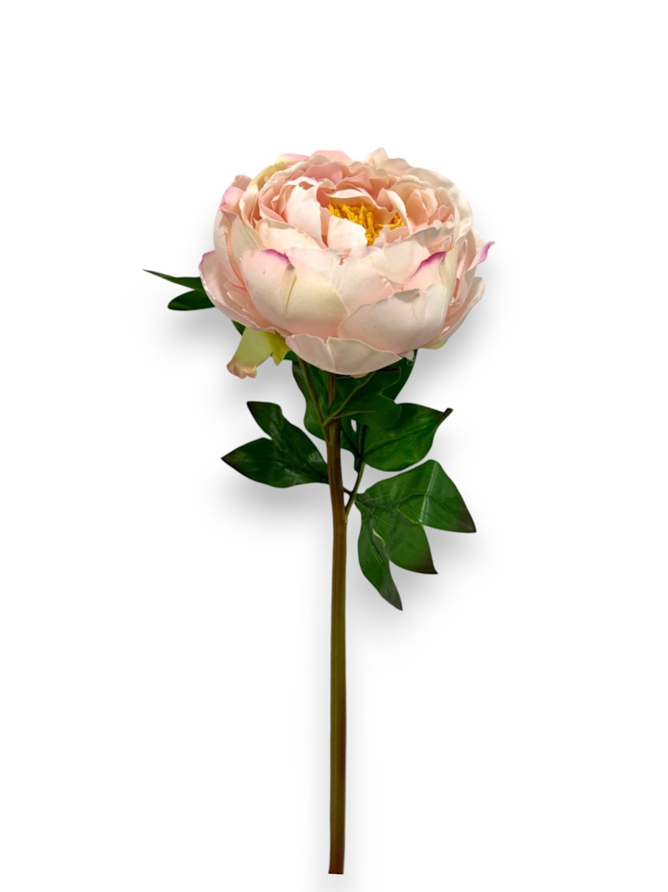 PEONY STEM REAL TOUCH 22"