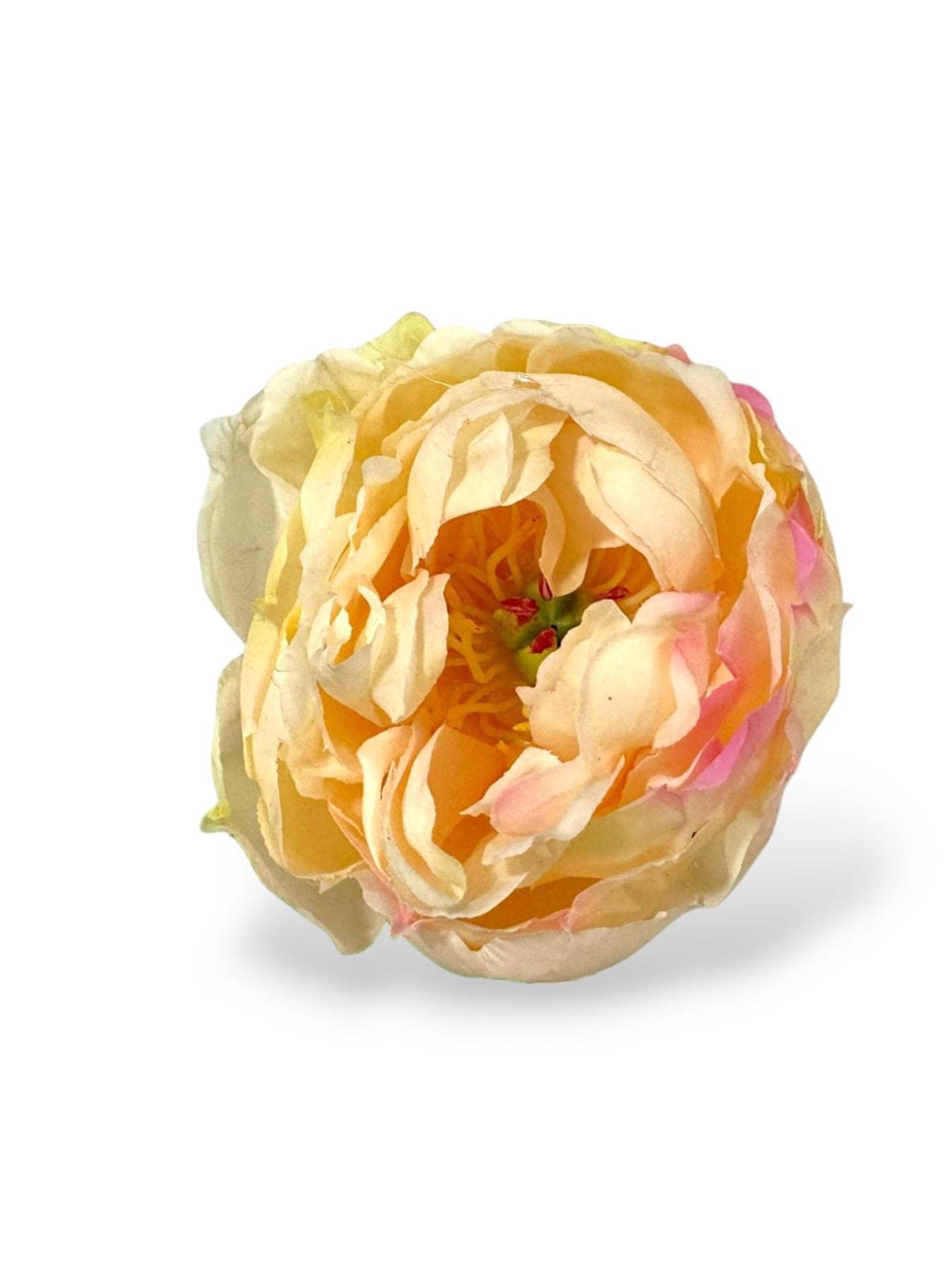 PEONY STEM 26" RT  NAT TOUCH