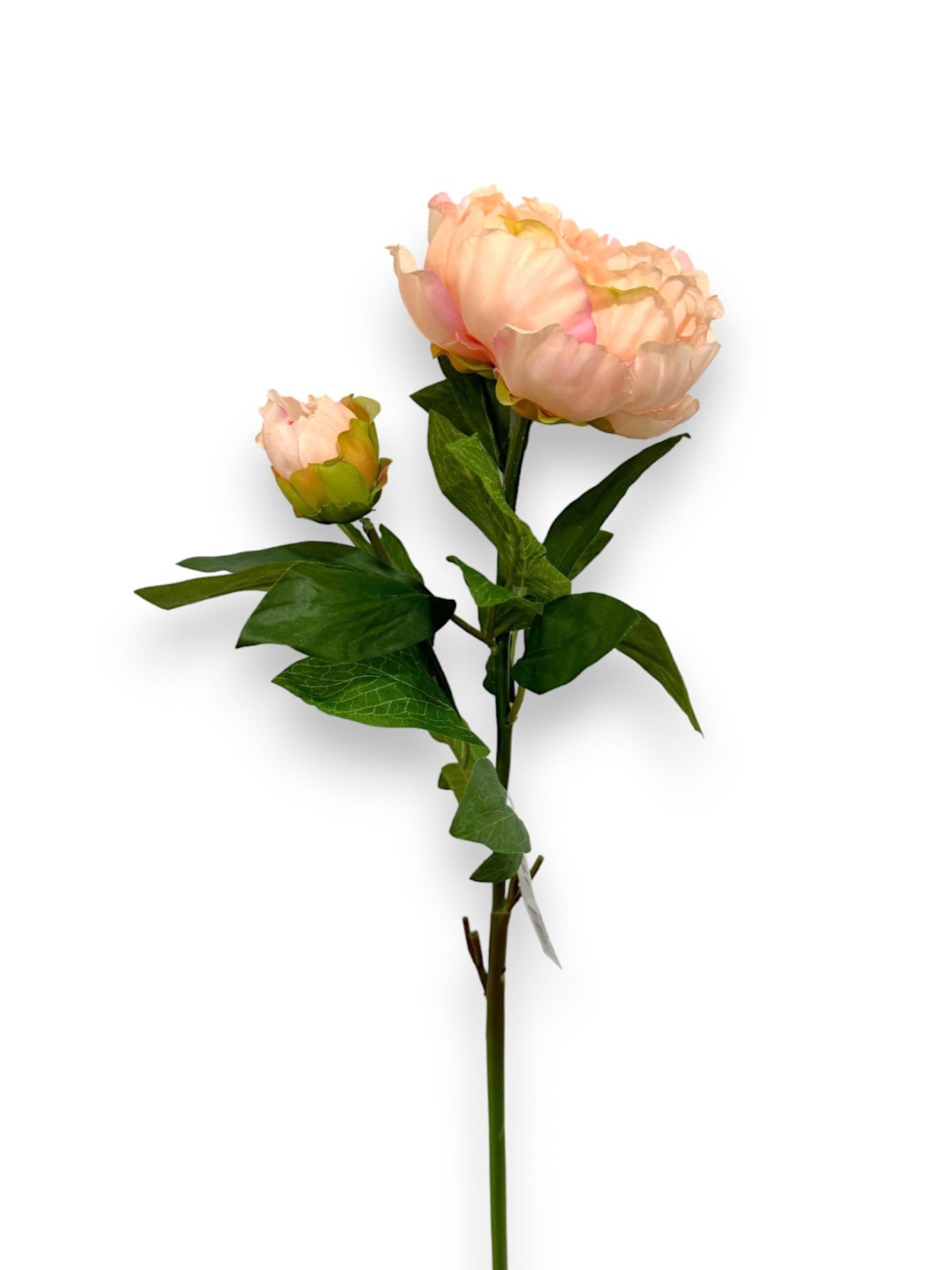 PEONY SPRAY 73CM