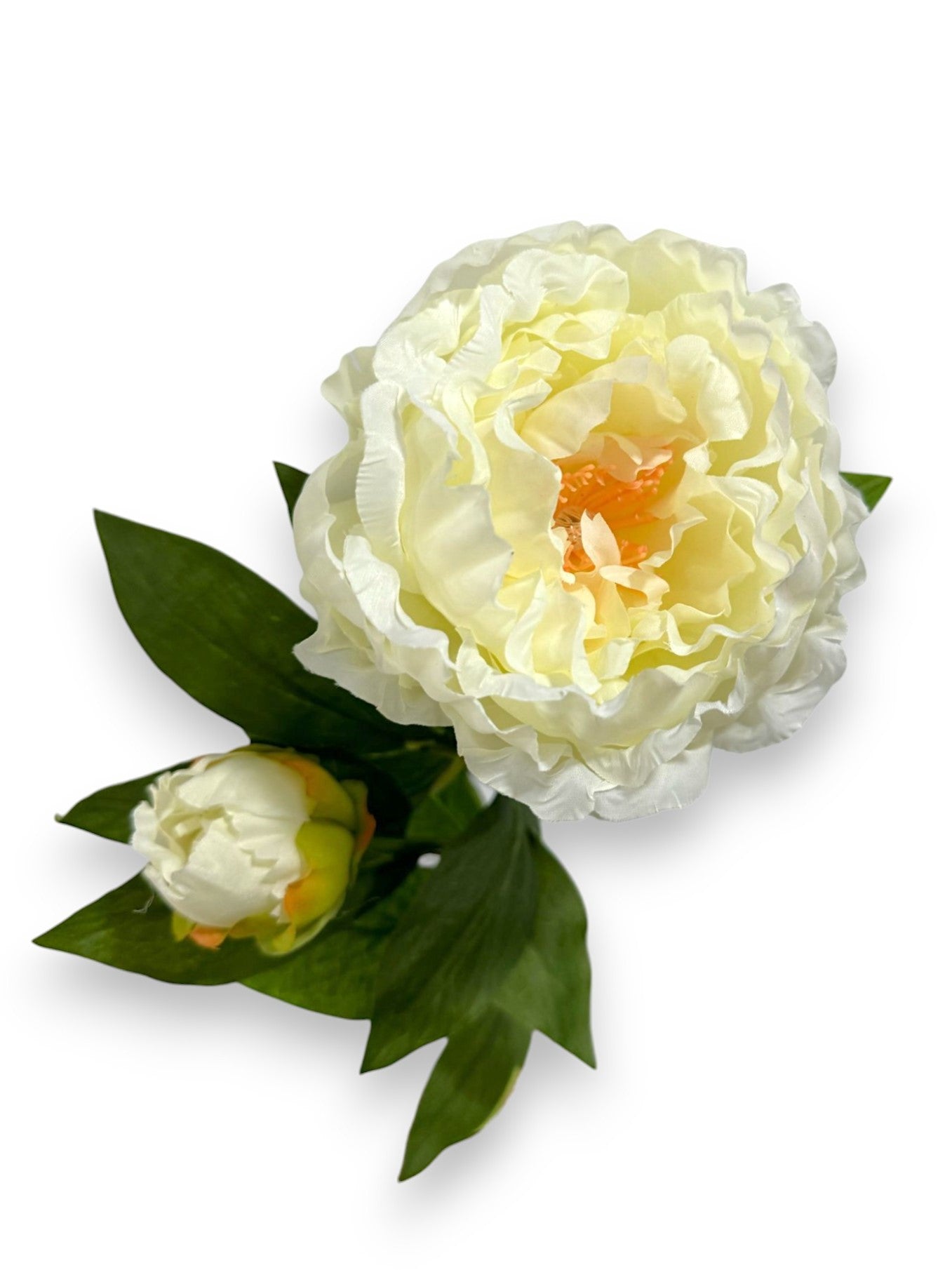 Peony – Chan's Silk Flowers, inc