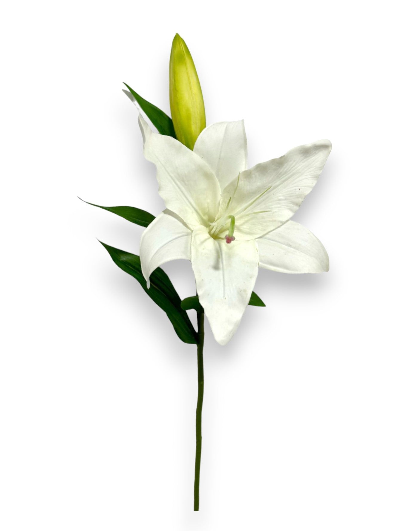 lily flower stalk LILY STEM 27" NAT.TCH
