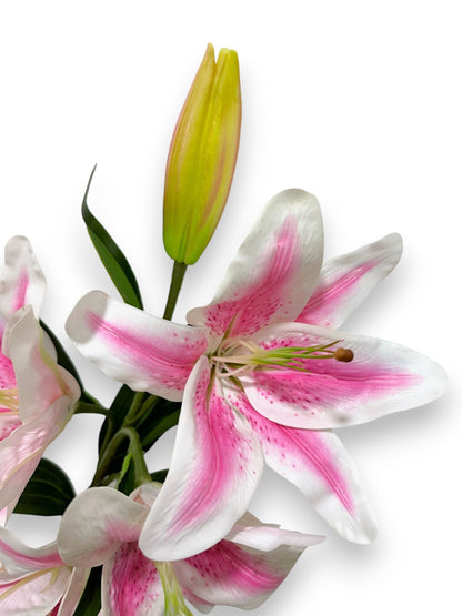TIGER LILY X4 1B
