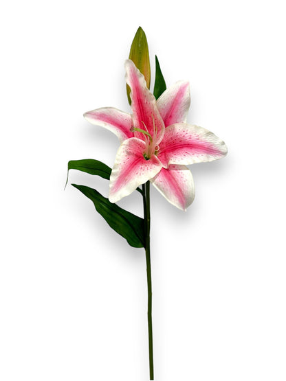 LILY STEM 27" NAT.TCH