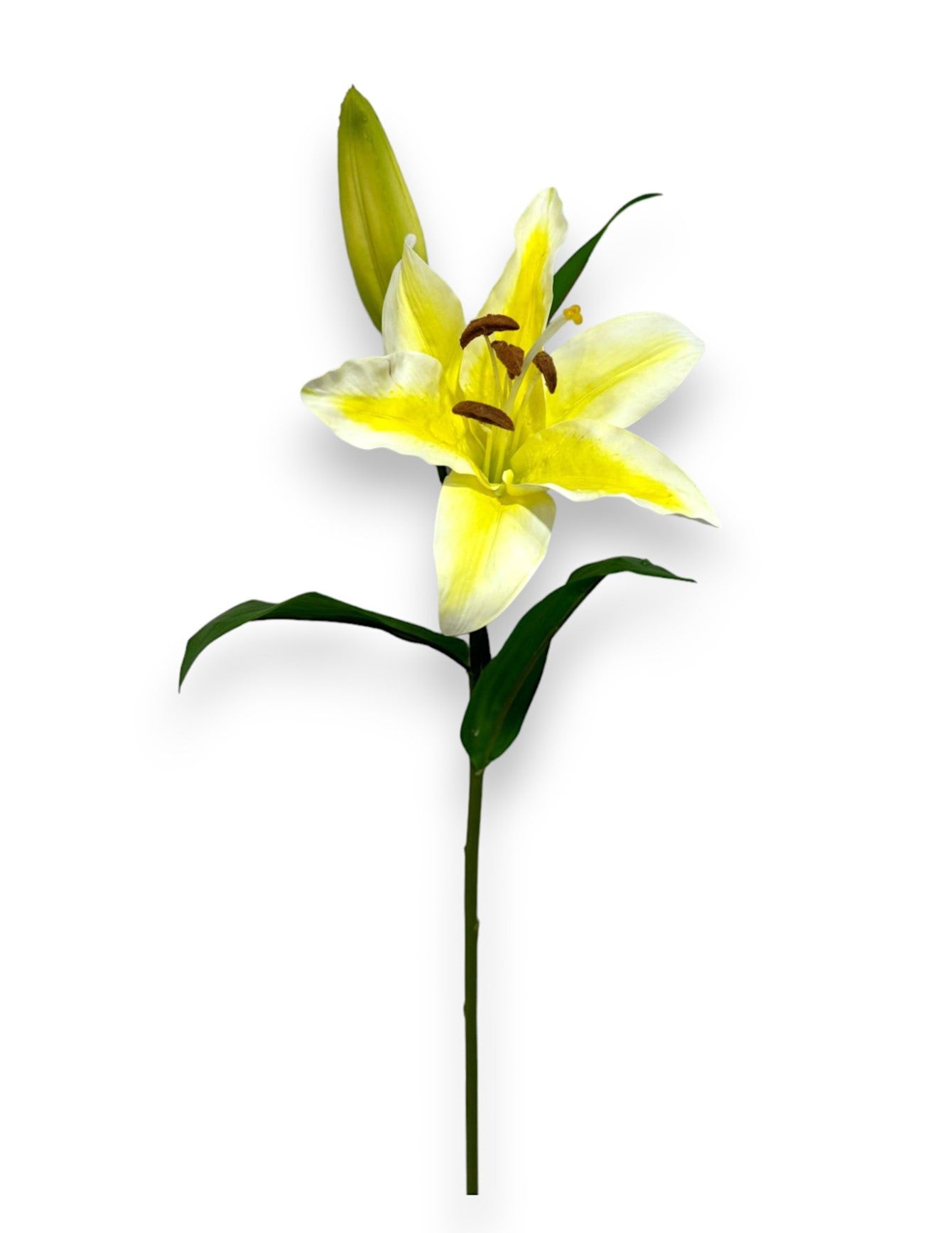 LILY STEM 29"