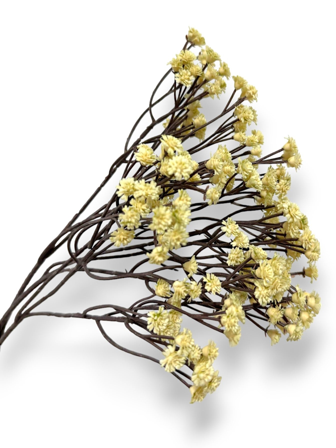 GYPSOPHILA BH 29.5"