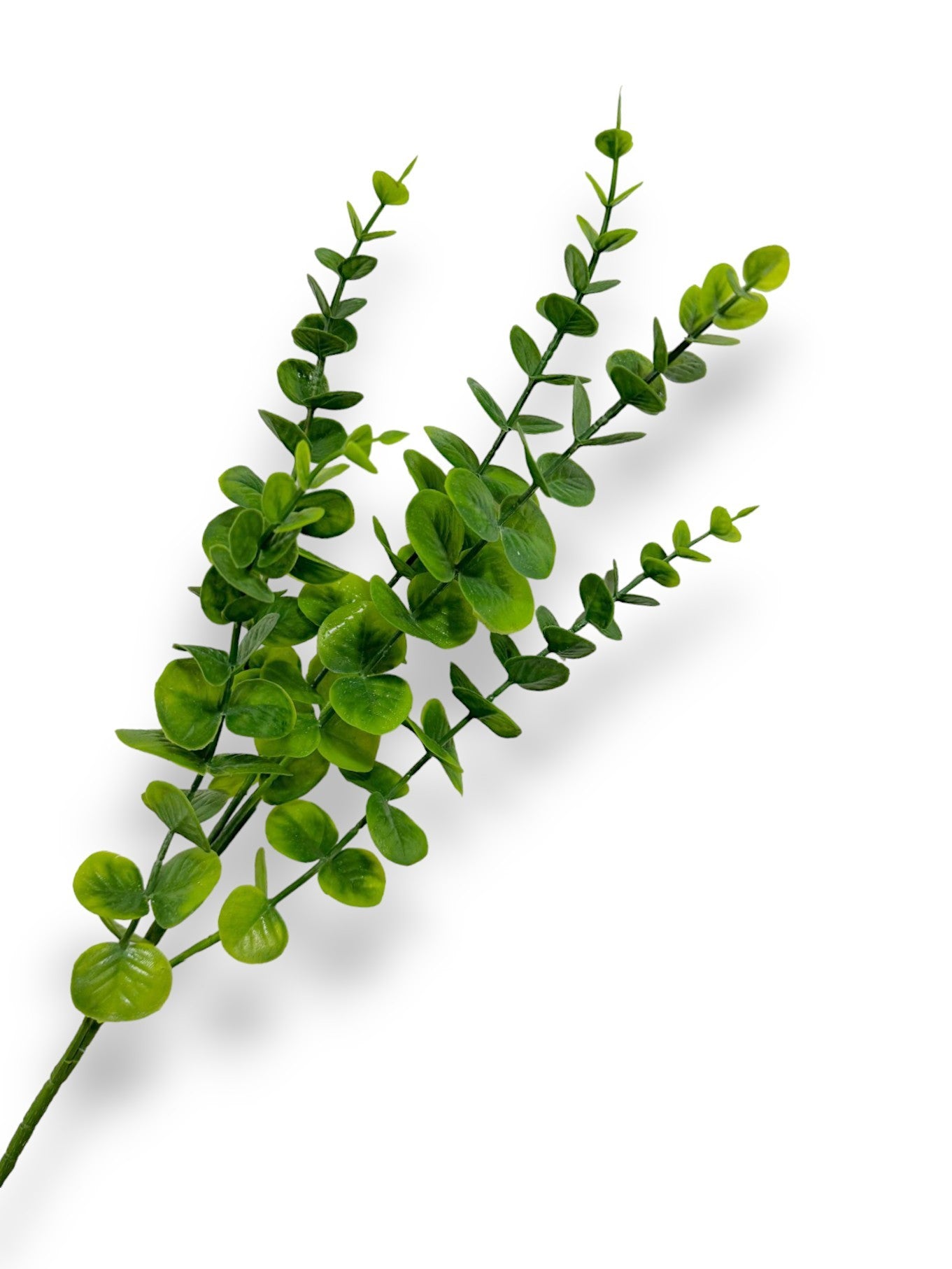 EUCALYPTUS LEAVES 29.5"