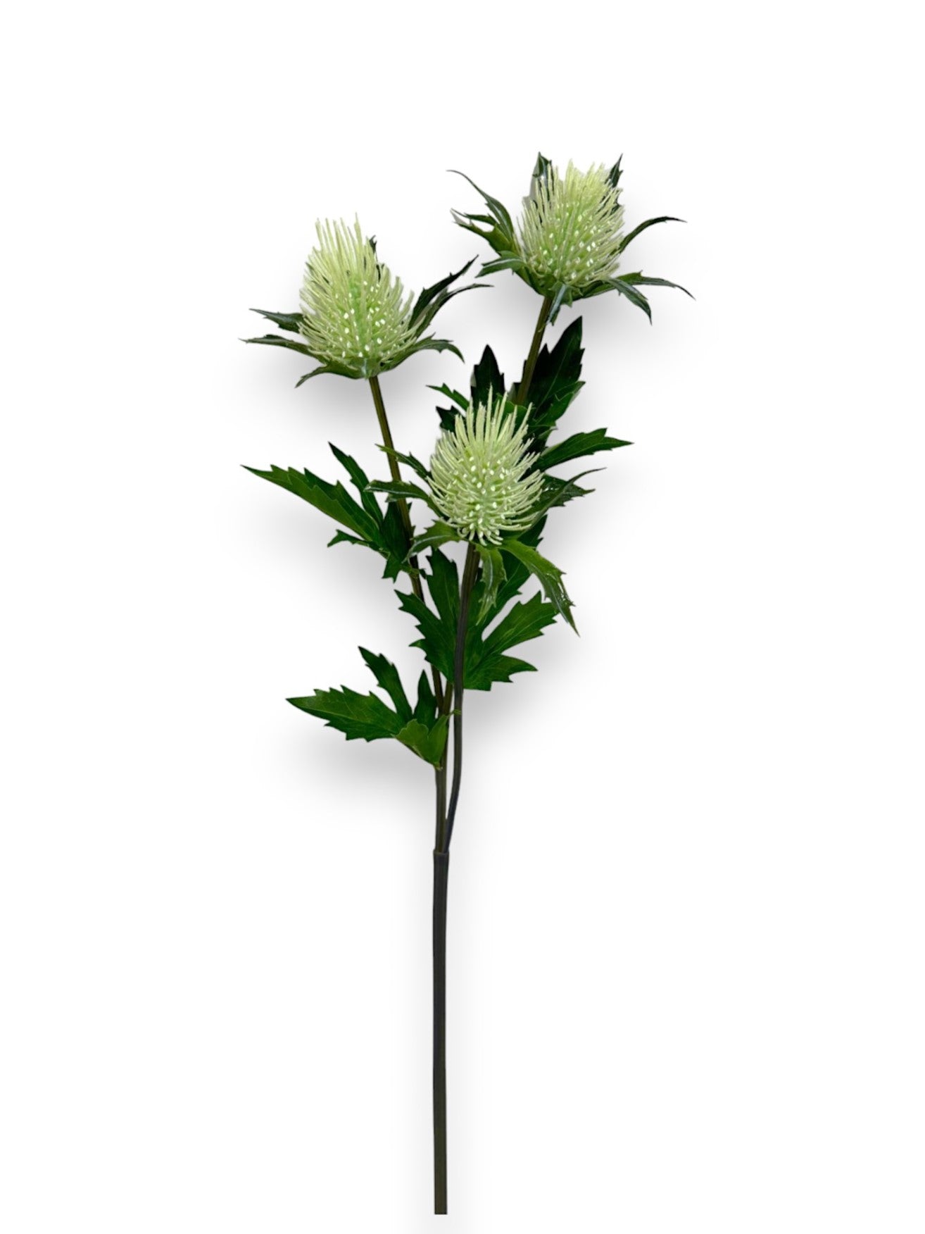 ERYNGO X3 23"