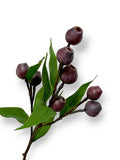EUCALYPTUS FRUIT 24"