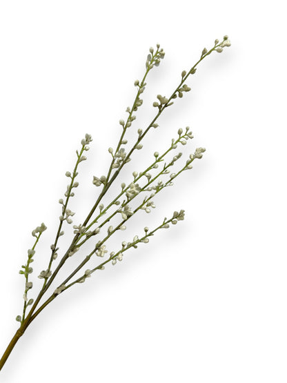 PUSSY WILLOW SPRAY