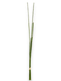 TENDER BAMBOOX6 32"