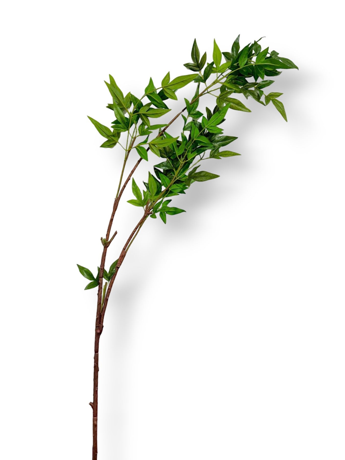 NANDINA SPRAY