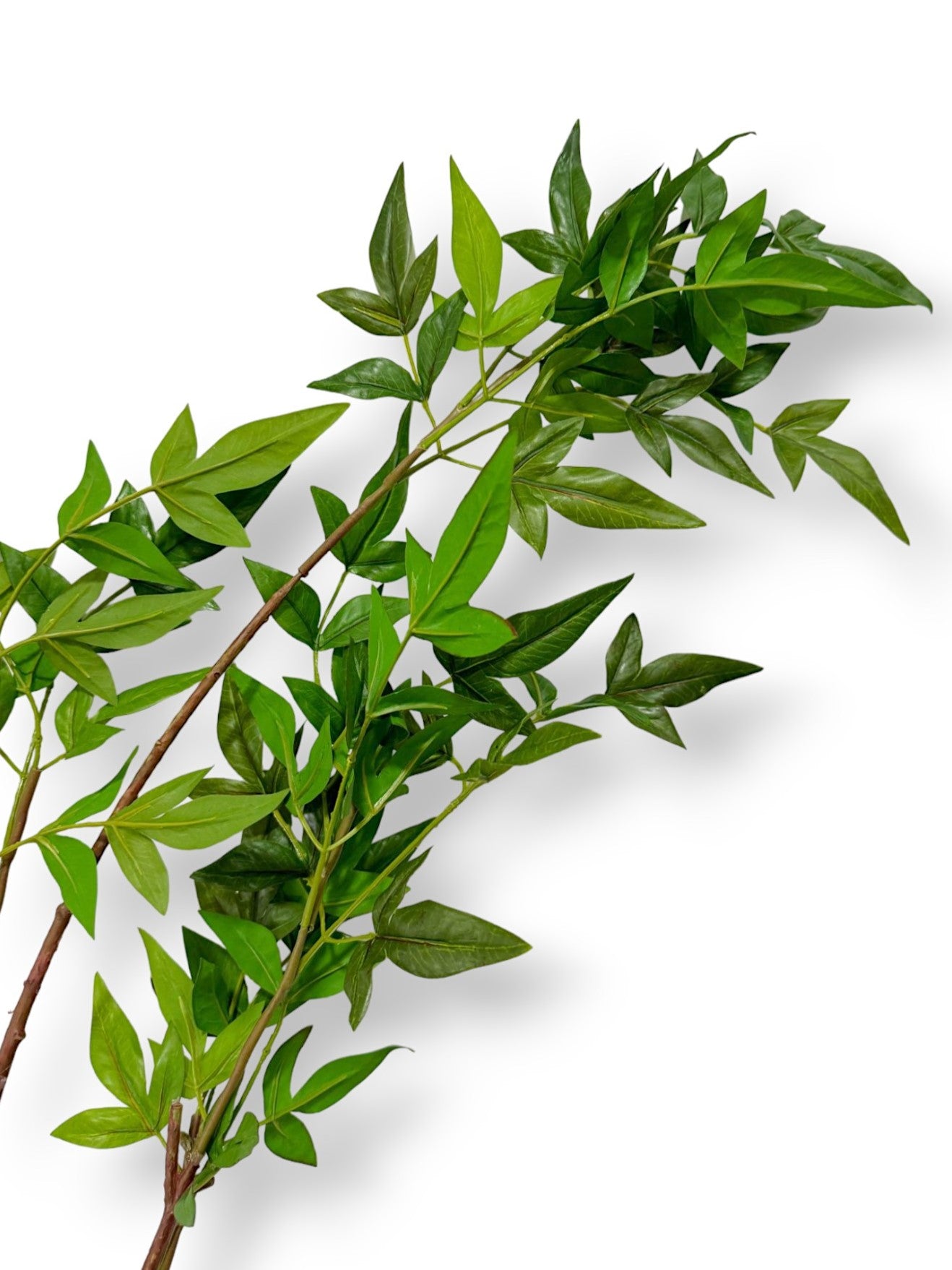 NANDINA SPRAY