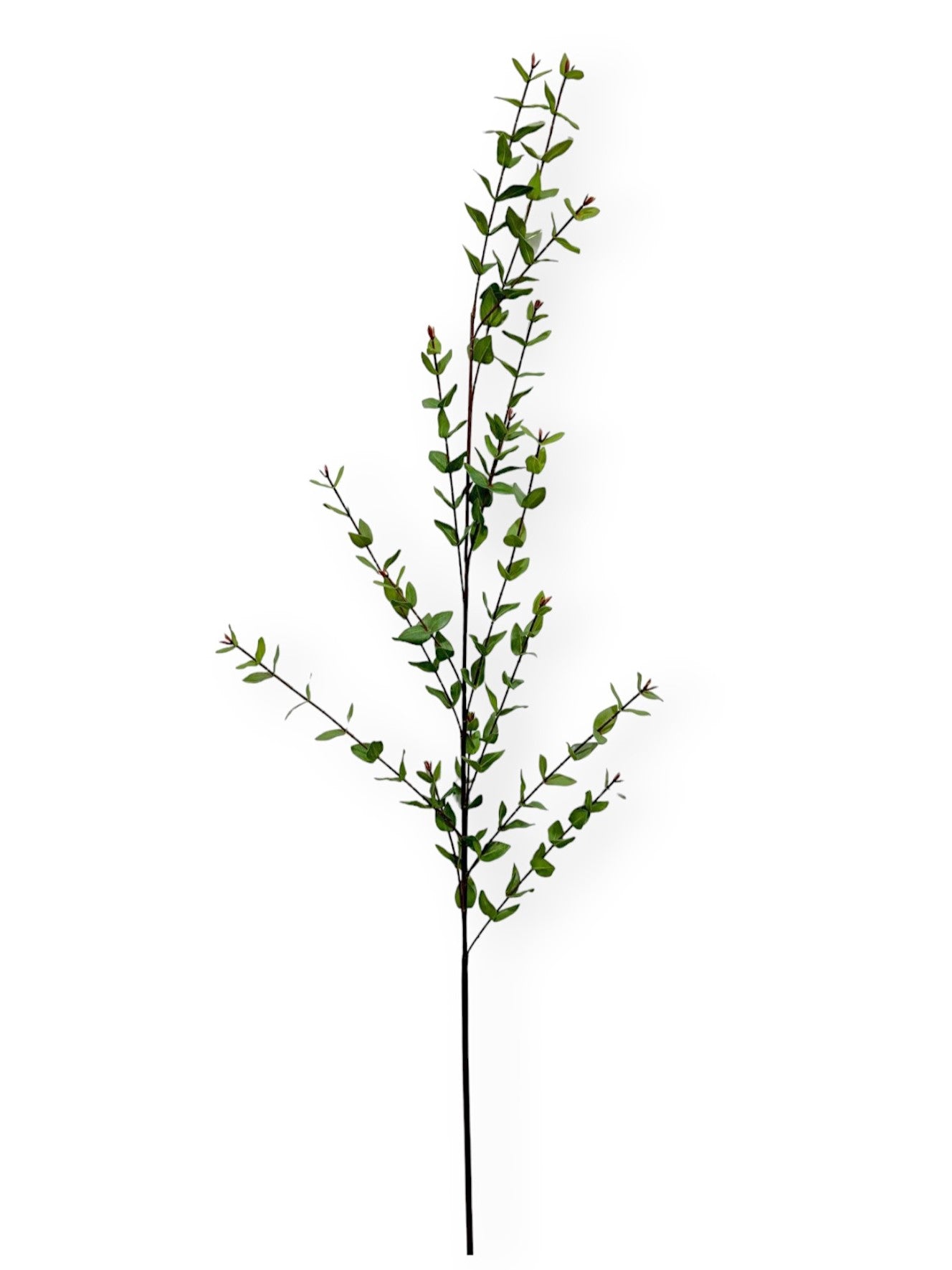 MINI HEART EUCALYPTUS LG Chan's Silk Flowers, inc