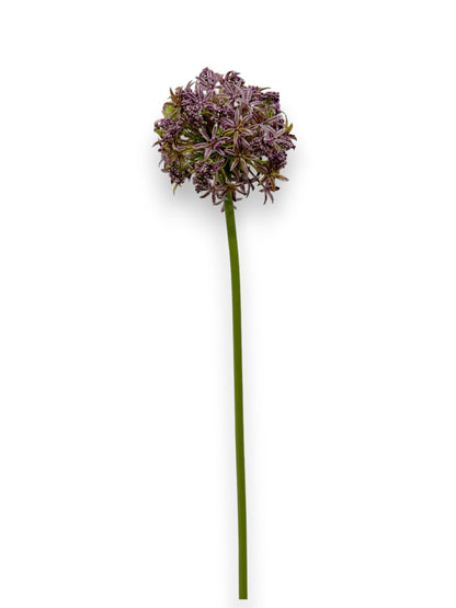 ALLIUM SPRAY 31"